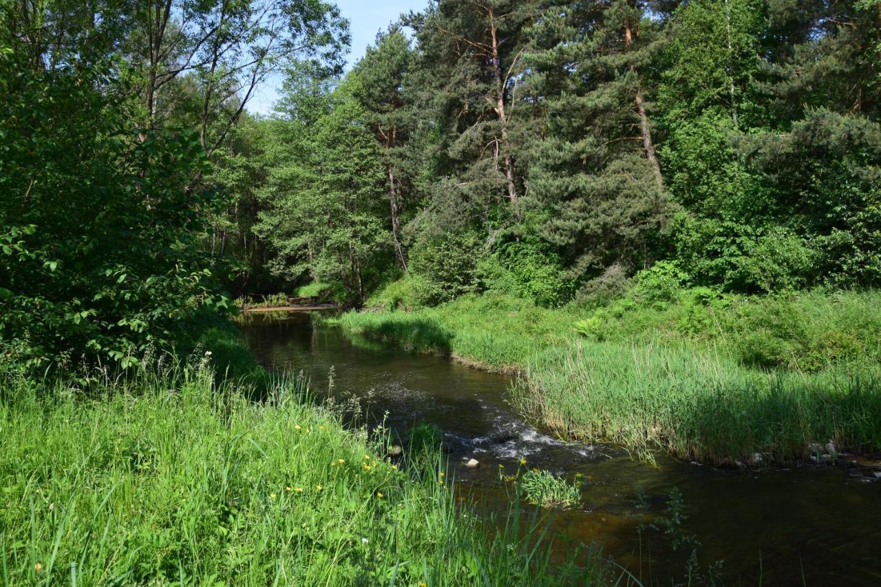 Stary Janów - pensjonat Staporkow Exterior foto